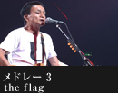the flag